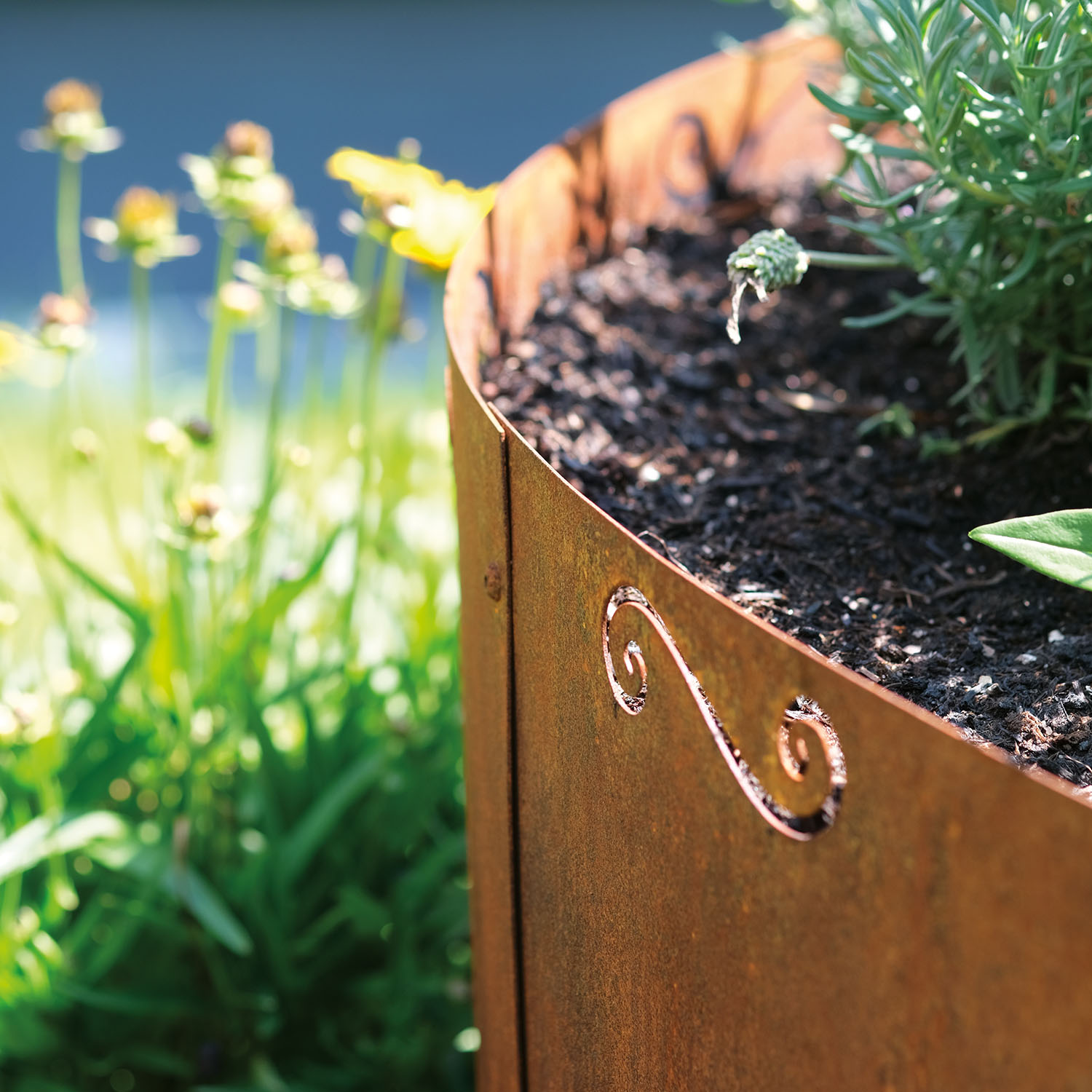 Kräuterspirale Corten  Kräuterspirale Corten